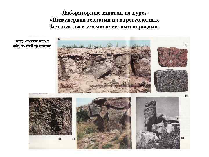 Лабораторные занятия по курсу «Инженерная геология и гидрогеология» . Знакомство с магматическими породами. Вид