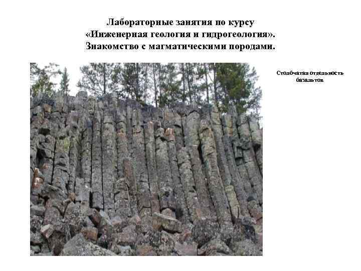 Лабораторные занятия по курсу «Инженерная геология и гидрогеология» . Знакомство с магматическими породами. Столбчатая
