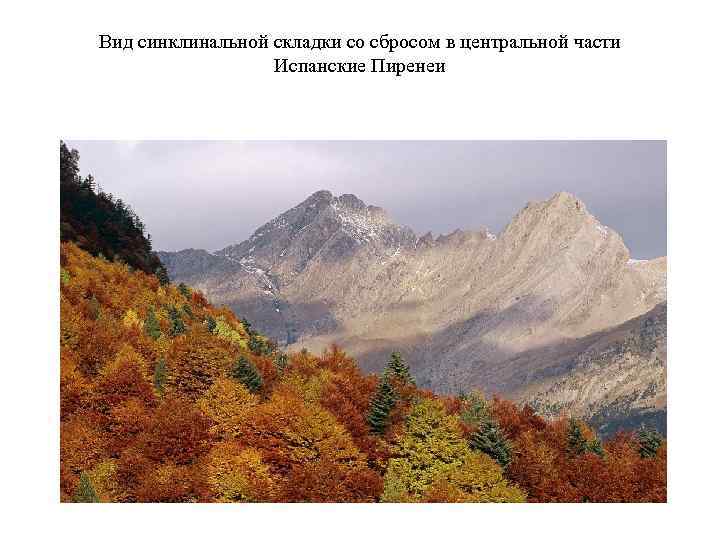 Вид синклинальной складки со сбросом в центральной части    Испанские Пиренеи 