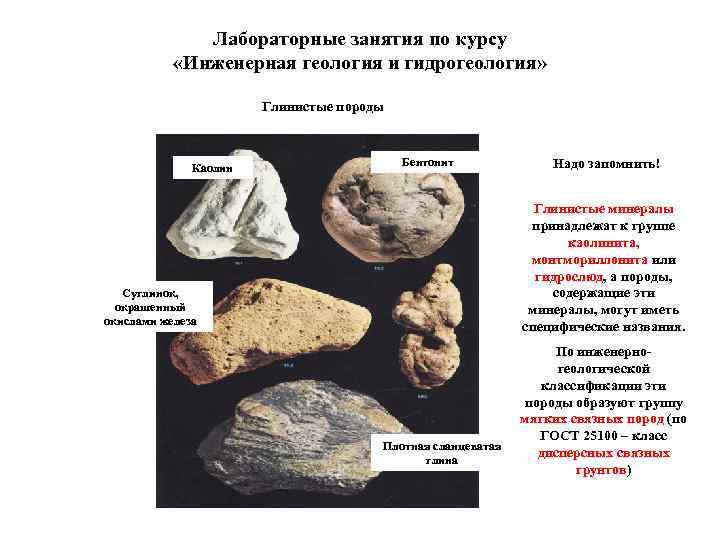    Лабораторные занятия по курсу   «Инженерная геология и гидрогеология» 