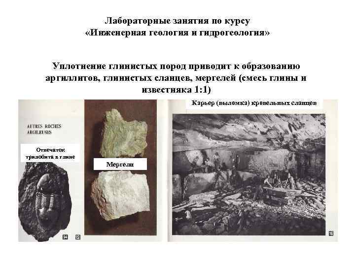     Лабораторные занятия по курсу     «Инженерная геология