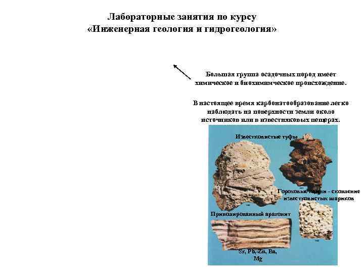   Лабораторные занятия по курсу «Инженерная геология и гидрогеология»    