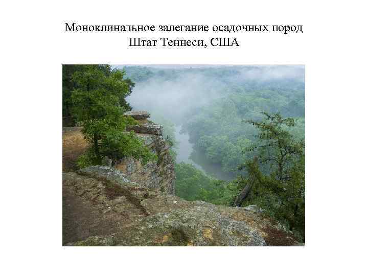 Моноклинальное залегание осадочных пород  Штат Теннеси, США 