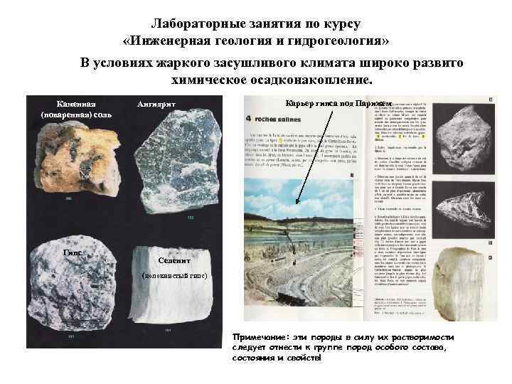     Лабораторные занятия по курсу     «Инженерная геология