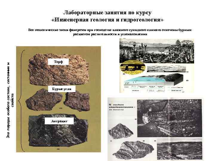       Лабораторные занятия по курсу    