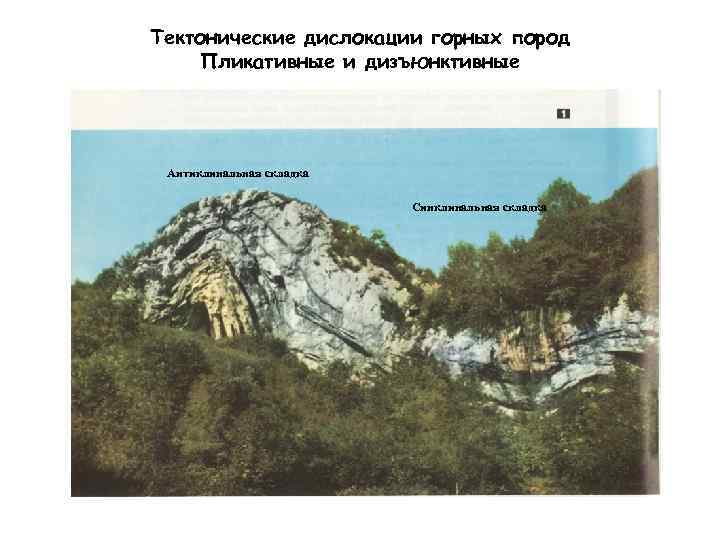 Тектонические дислокации горных пород Пликативные и дизъюнктивные Антиклинальная складка     
