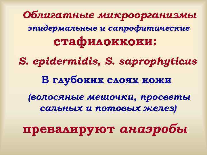 Облигатные микроорганизмы эпидермальные и сапрофитические  стафилоккоки: S. epidermidis, S. saprophyticus   