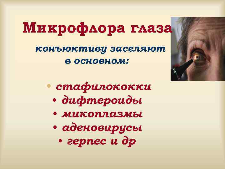 Микрофлора глаза конъюктиву заселяют в основном: • стафилококки • дифтероиды • микоплазмы • аденовирусы