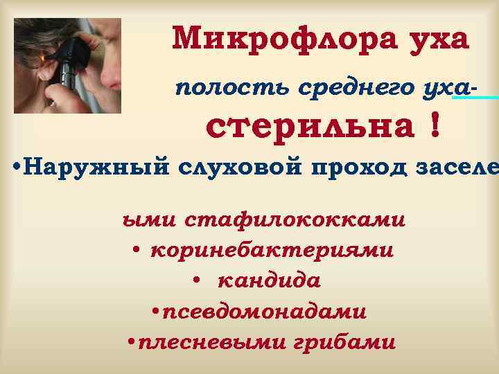    Микрофлора уха  полость среднего уха-   стерильна ! •