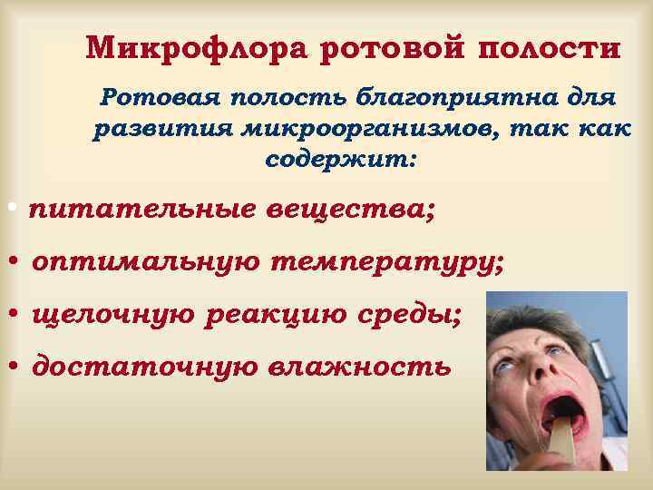   Микрофлора ротовой полости Ротовая полость благоприятна для развития микроорганизмов, так как 