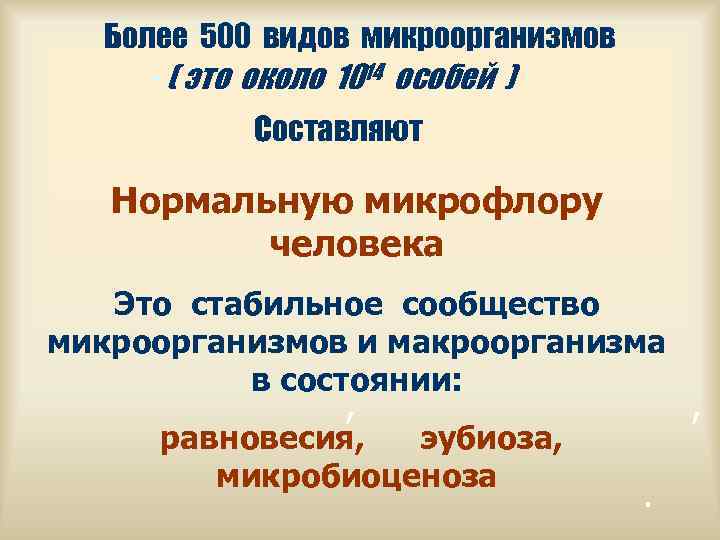  Более 500 видов микроорганизмов - ( это около 1014 особей )  Составляют