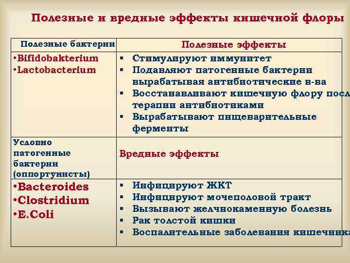   Полезные и вредные эффекты кишечной флоры  Полезные бактерии   