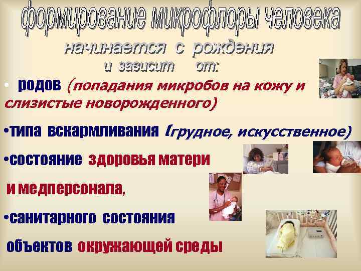  • родов (попадания микробов на кожу и слизистые новорожденного) • типа вскармливания (грудное,