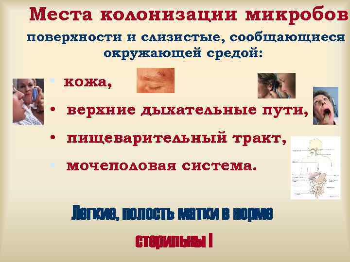 Места колонизации микробов поверхности и слизистые, сообщающиеся с   окружающей средой: • кожа,