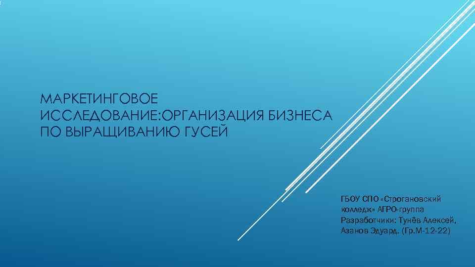 МАРКЕТИНГОВОЕ ИССЛЕДОВАНИЕ: ОРГАНИЗАЦИЯ БИЗНЕСА ПО ВЫРАЩИВАНИЮ ГУСЕЙ    ГБОУ СПО «Строгановский 