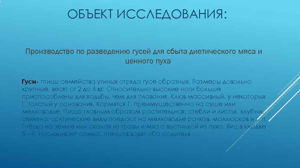    ОБЪЕКТ ИССЛЕДОВАНИЯ:  Производство по разведению гусей для сбыта диетического мяса