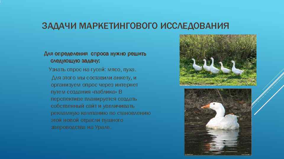 ЗАДАЧИ МАРКЕТИНГОВОГО ИССЛЕДОВАНИЯ Для определения спроса нужно решить  следующую задачу:  Узнать спрос