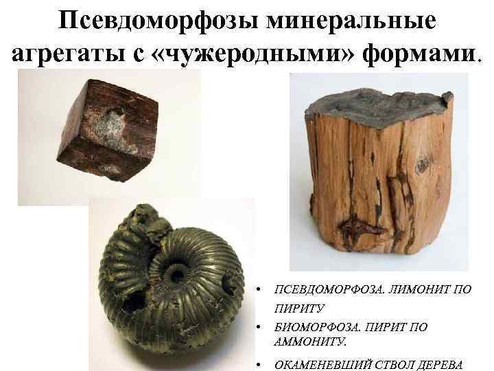   Псевдоморфозы минеральные агрегаты с «чужеродными» формами.    •  ПСЕВДОМОРФОЗА.