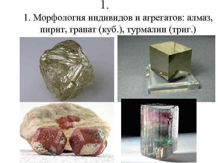    1. 1. Морфология индивидов и агрегатов: алмаз, пирит, гранат (куб. ),