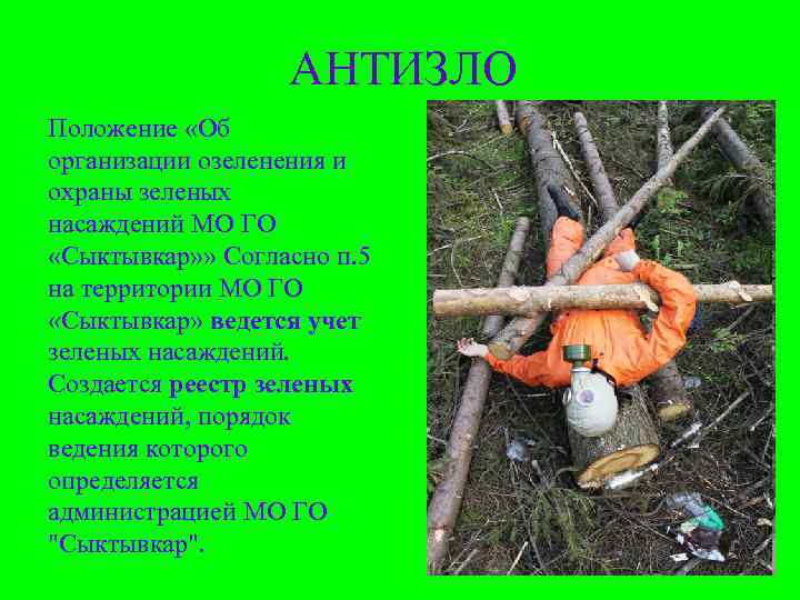    АНТИЗЛО Положение «Об организации озеленения и охраны зеленых насаждений МО ГО