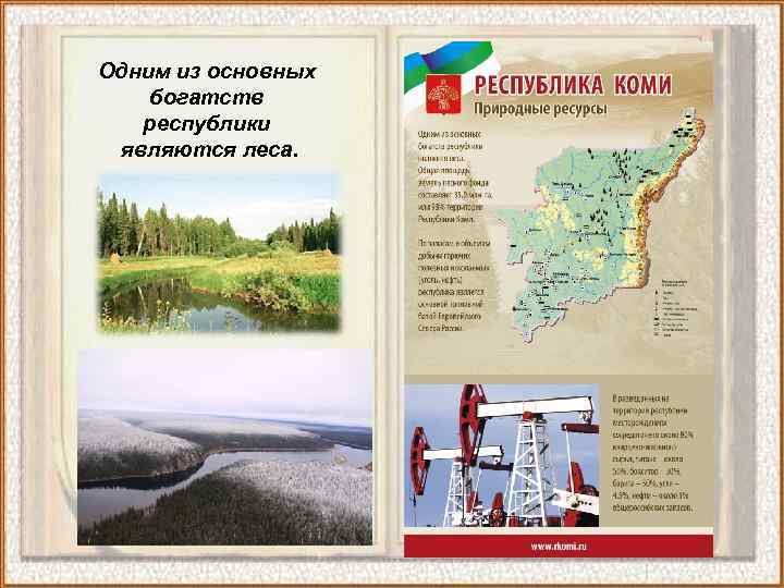 Одним из основных богатств  республики являются леса. 