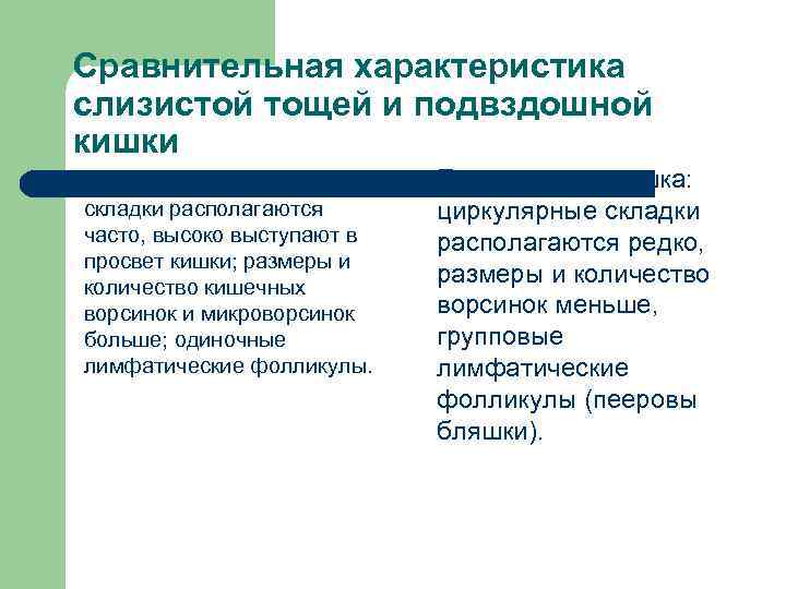   Сравнительная характеристика слизистой тощей и подвздошной кишки l  Тощая кишка: циркулярные