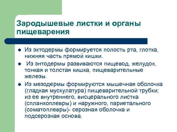 Зародышевые листки и органы пищеварения l  Из эктодермы формируется полость рта, глотка, нижняя