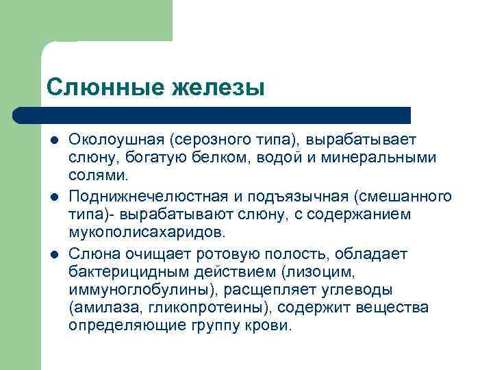 Слюнные железы l  Околоушная (серозного типа), вырабатывает слюну, богатую белком, водой и минеральными