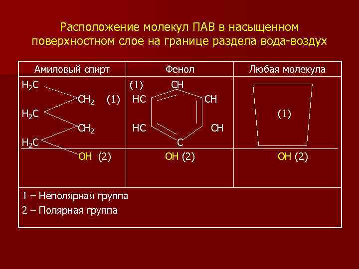  Расположение молекул ПАВ в насыщенном  поверхностном слое на границе раздела вода-воздух 