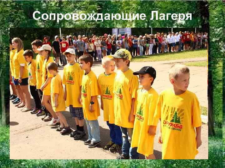 Сопровождающие Лагеря 