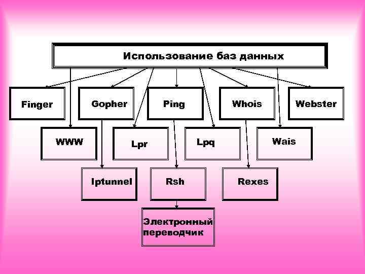      Использование баз данных  Finger   Gopher 
