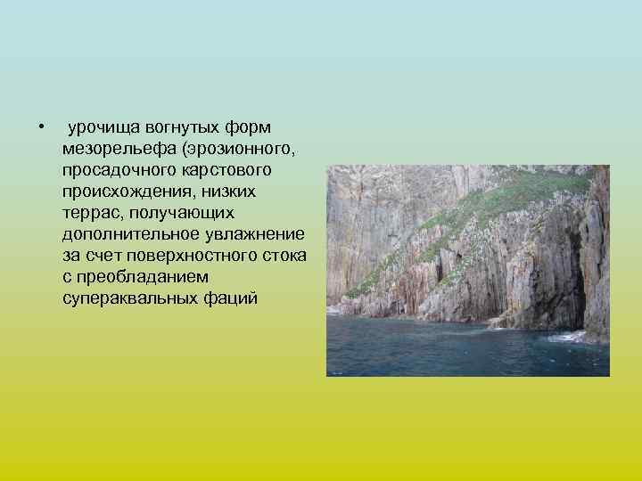  • урочища вогнутых форм мезорельефа (эрозионного, просадочного карстового происхождения, низких террас, получающих дополнительное