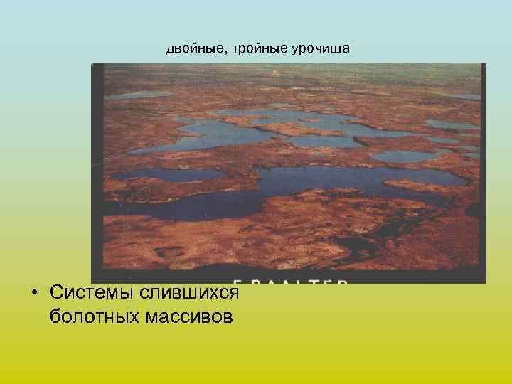   двойные, тройные урочища • Системы слившихся  болотных массивов 
