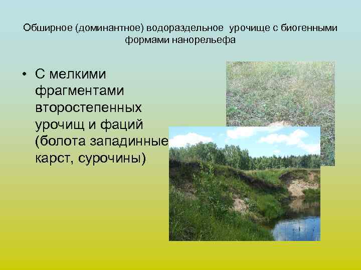 Обширное (доминантное) водораздельное урочище с биогенными    формами нанорельефа  • С