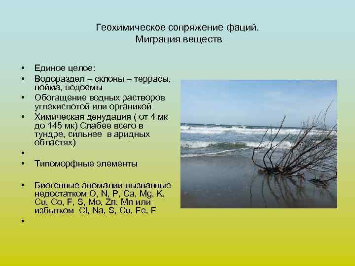    Геохимическое сопряжение фаций.     Миграция веществ  •