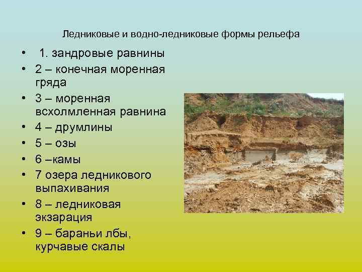  Ледниковые и водно-ледниковые формы рельефа • 1. зандровые равнины • 2 – конечная