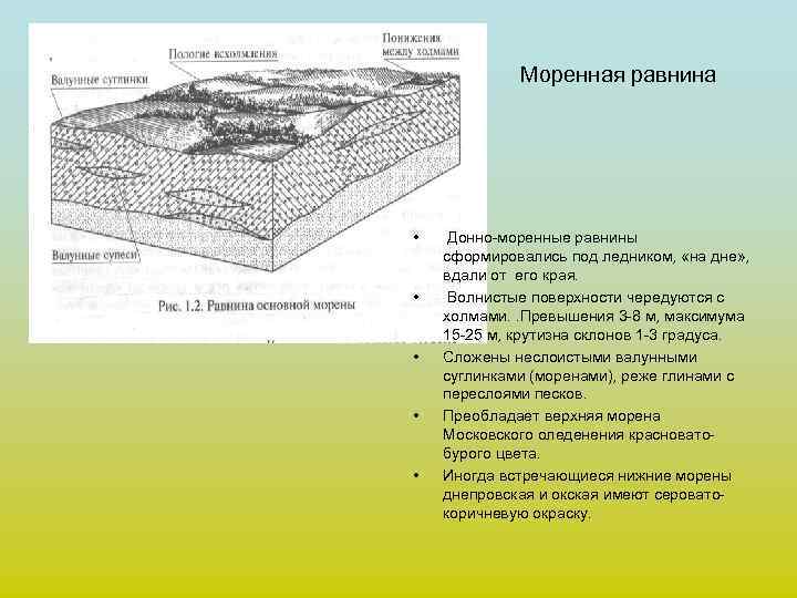    Моренная равнина • Донно-моренные равнины сформировались под ледником,  «на дне»