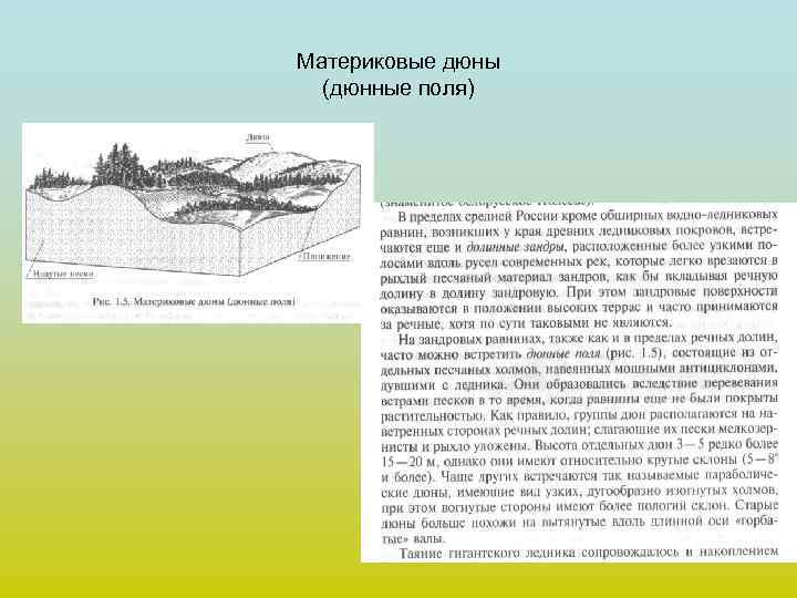 Материковые дюны  (дюнные поля) 