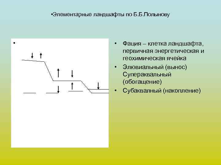  • Элементарные ландшафты по Б. Б. Полынову •     •