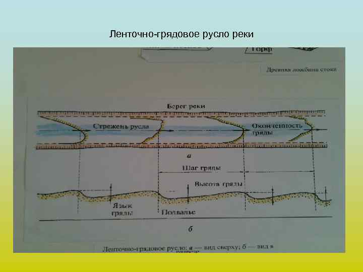 Ленточно-грядовое русло реки 