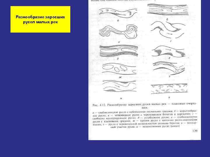 Разнообразие заросших  русел малых рек 