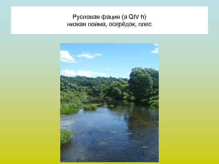  Русловая фация (a QIV h) низкая пойма, осерёдок, плес 