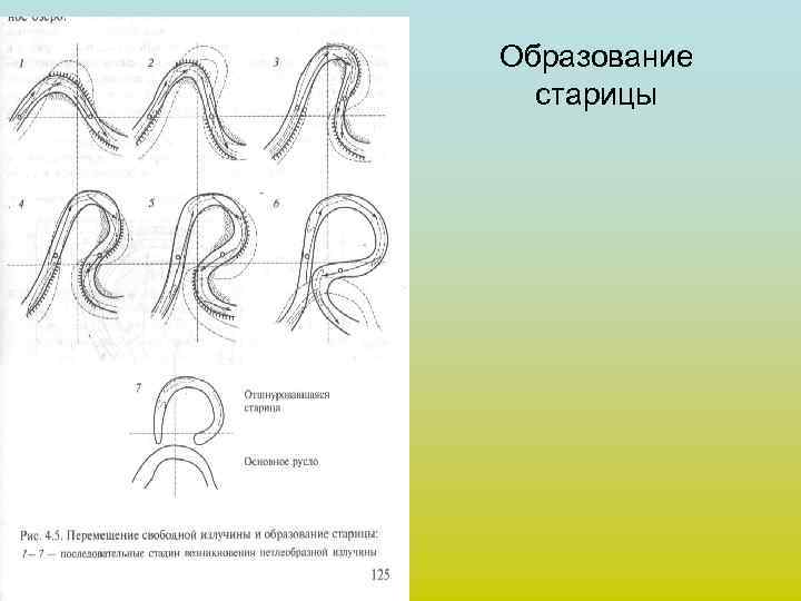 Образование  старицы 