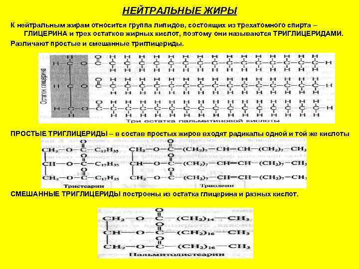       НЕЙТРАЛЬНЫЕ ЖИРЫ К нейтральным жирам относится группа липидов,