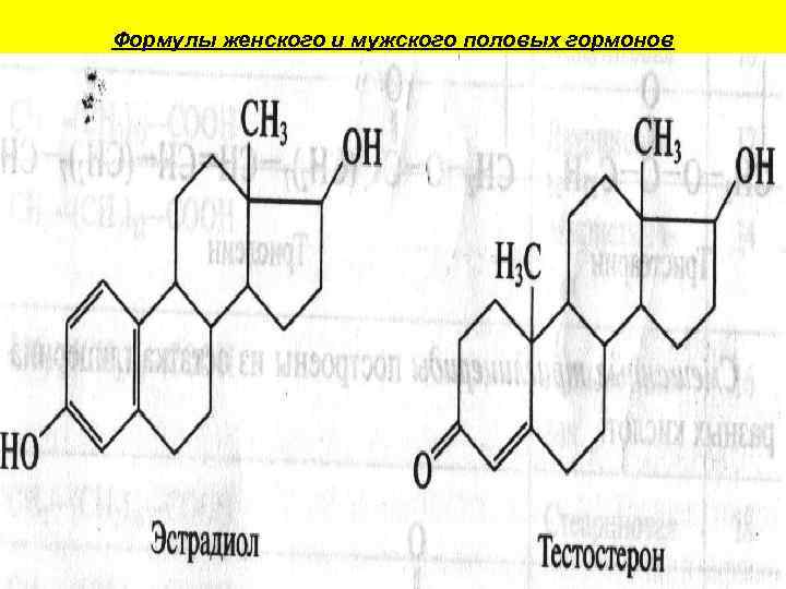 Формулы женского и мужского половых гормонов 