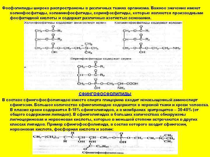 Фосфолипиды широко распространены в различных тканях организма. Важное значение имеют  холинфосфатиды, коламинфосфатиды, серинфосфатиды,