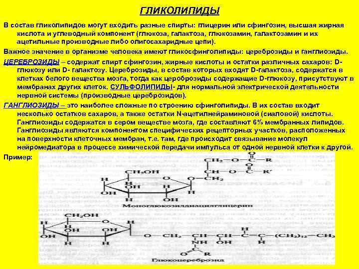       ГЛИКОЛИПИДЫ В состав гликолипидов могут входить разные спирты: