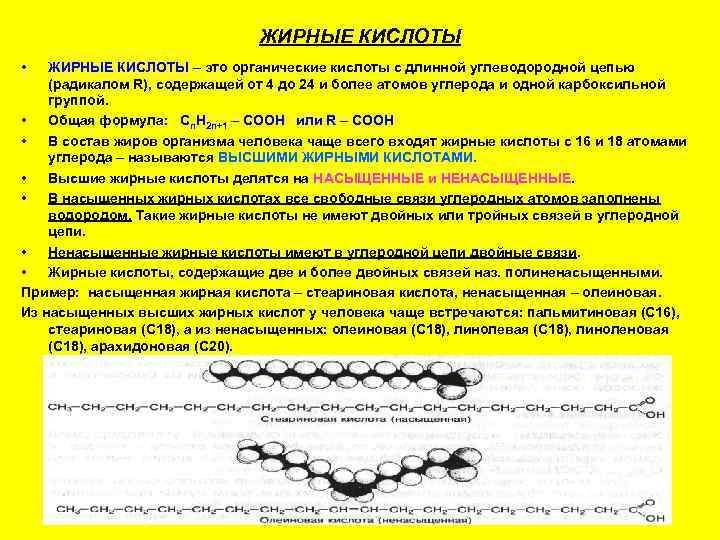       ЖИРНЫЕ КИСЛОТЫ •  ЖИРНЫЕ КИСЛОТЫ – это