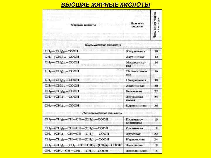 ВЫСШИЕ ЖИРНЫЕ КИСЛОТЫ 