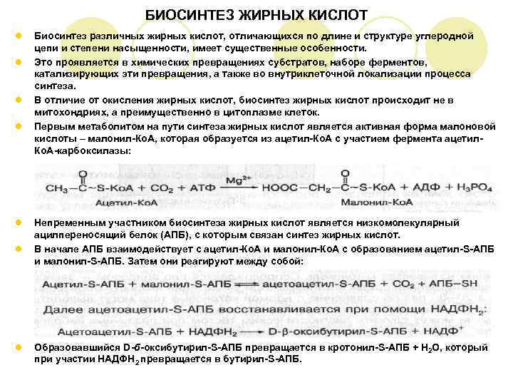     БИОСИНТЕЗ ЖИРНЫХ КИСЛОТ l  Биосинтез различных жирных кислот, отличающихся
